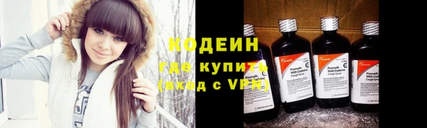 гидра Арсеньев