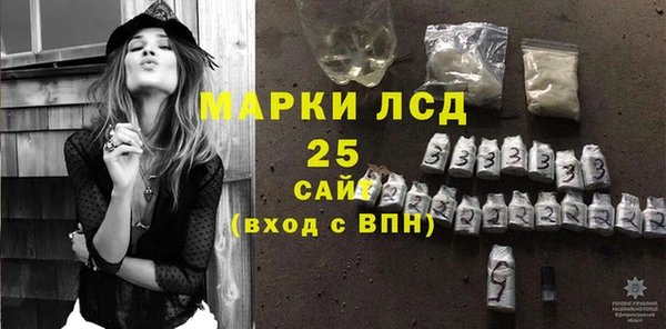 гидра Арсеньев
