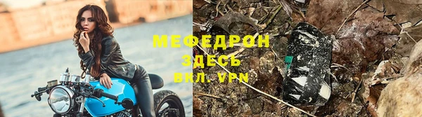 гидра Арсеньев