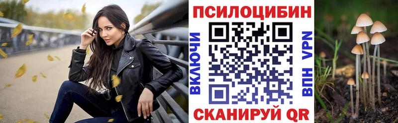 Псилоцибиновые грибы Psilocybe  Купить  Видное 