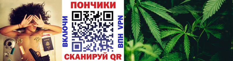 Купить где  Видное  Конопля Amnesia 